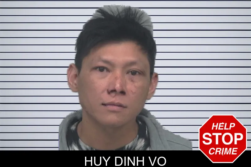 Huy Dinh Vo mugshot