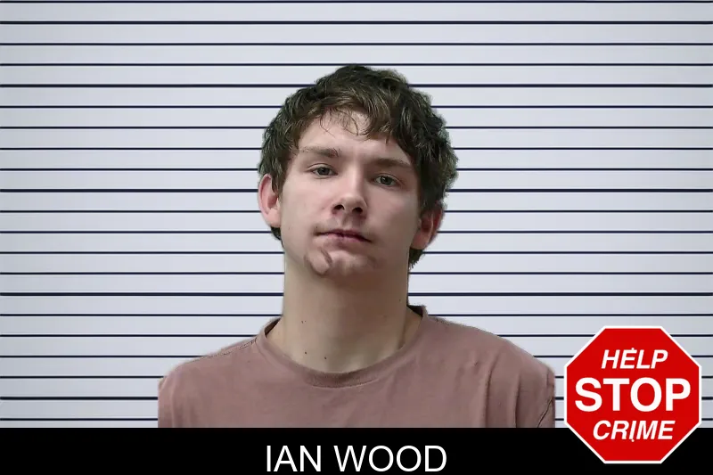 Ian Wood mugshot