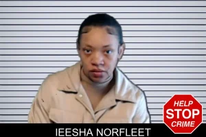 Ieesha Norfleet mugshot