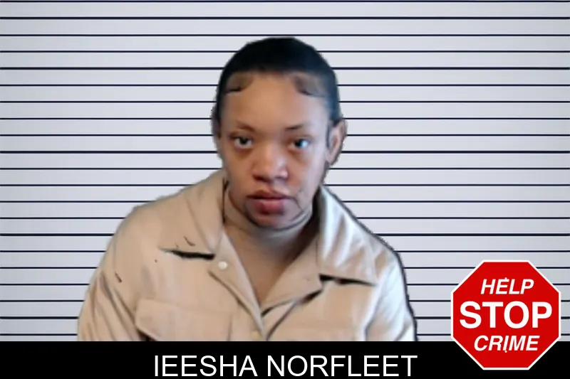 Ieesha Norfleet mugshot
