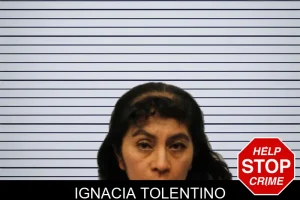 Ignacia Tolentino mugshot