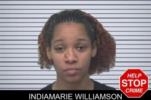 Indiamarie Williamson mugshot