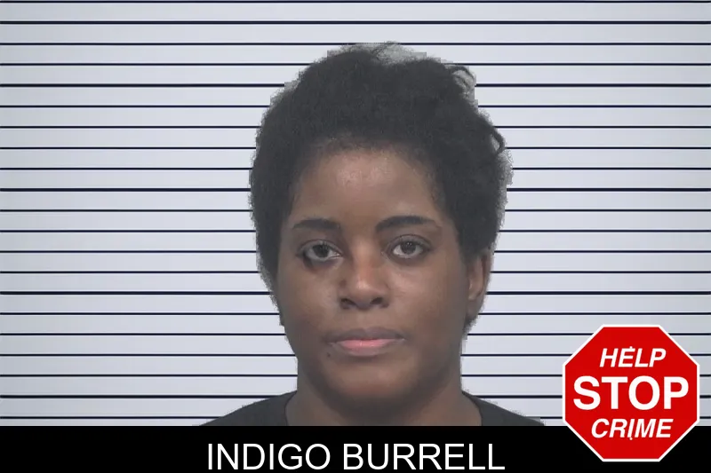 Indigo Burrell mugshot – Gwinnett County , Georgia Indigo Burrell mugshot