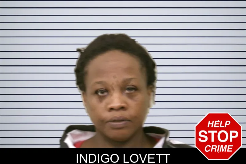 Indigo Lovett mugshot