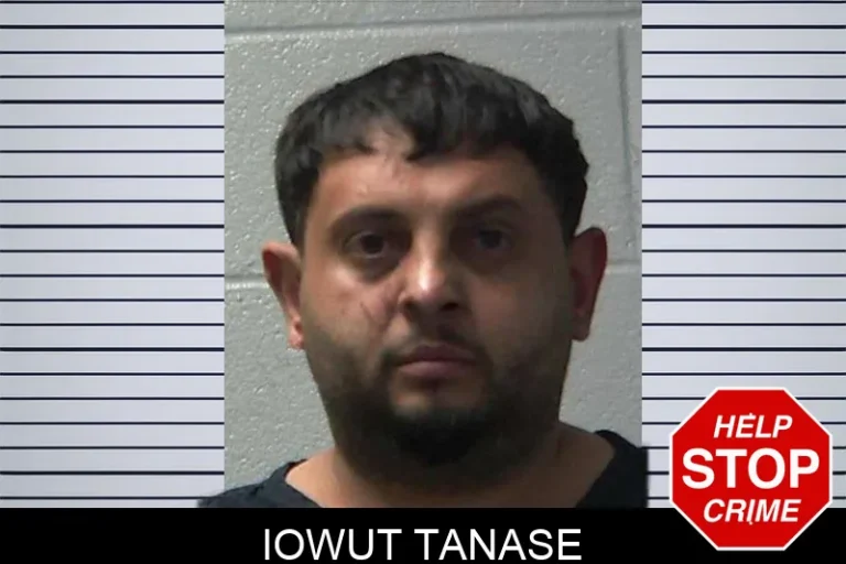 Iowut Tanase mugshot – Gilmer County , Georgia Iowut Tanase