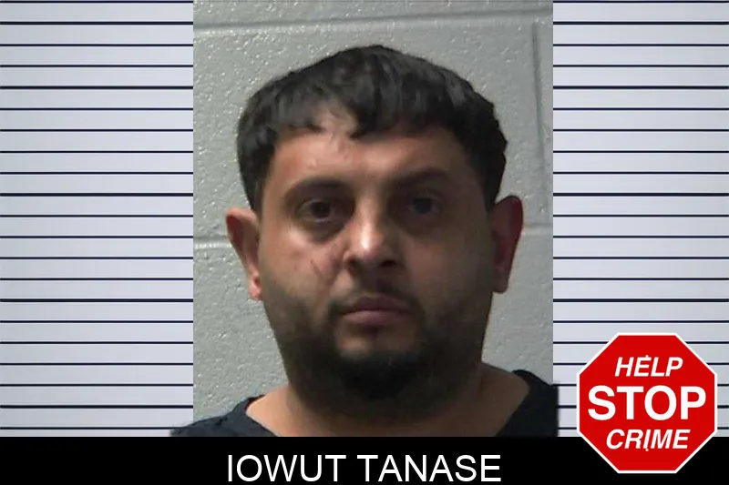 Iowut Tanase mugshot