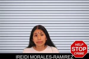 Ireidi Morales-Ramirez mugshot