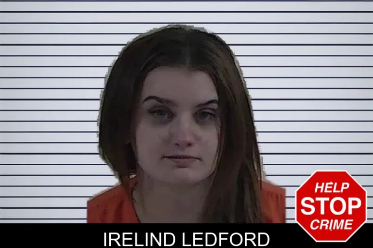 Irelind Ledford mugshot – Fannin County , Georgia Irelind Ledford