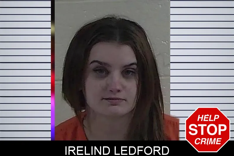 Irelind Ledford mugshot