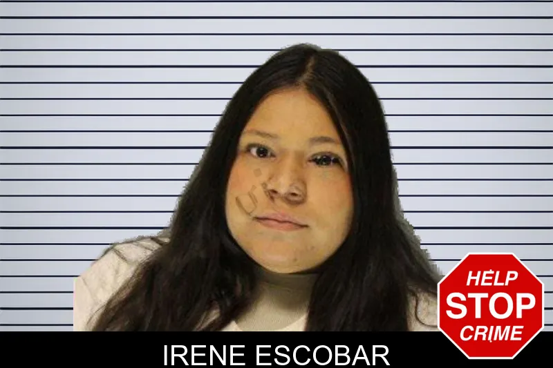 Irene Escobar mugshot – Hall County , Georgia Irene Escobar mugshot