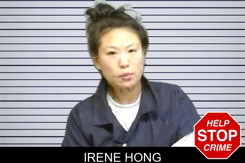 Irene Hong mugshot