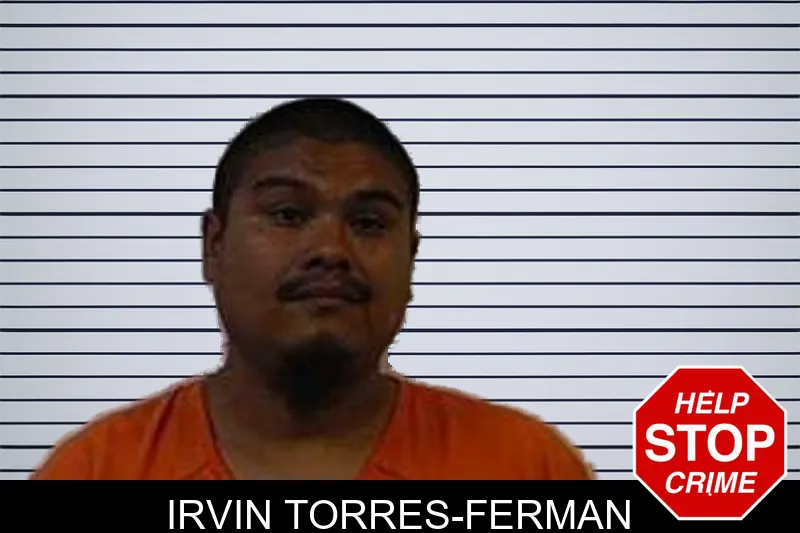 Irvin Torres-Ferman mugshot
