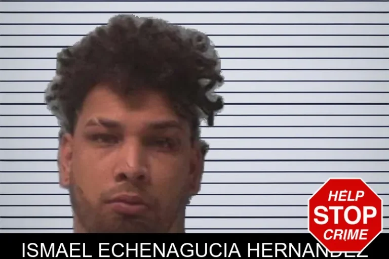 Ismael Echenagucia Hernandez