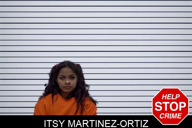 Itsy Martinez-Ortiz mugshot