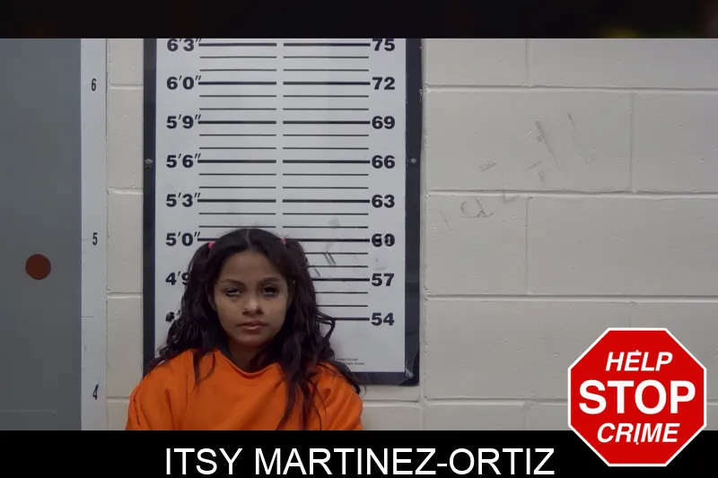 Itsy Martinez-Ortiz mugshot – Irwin County , Georgia Itsy Martinez-Ortiz mugshot