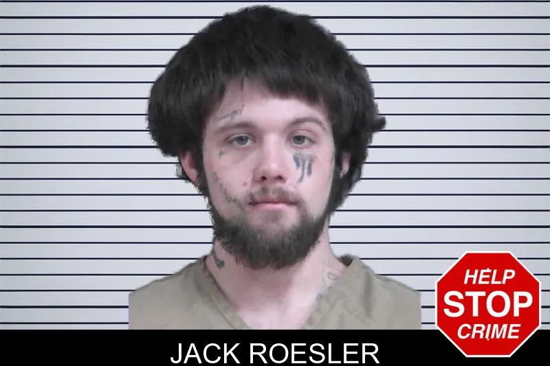 Jack Roesler mugshot