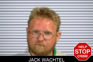 Jack Wachtel mugshot