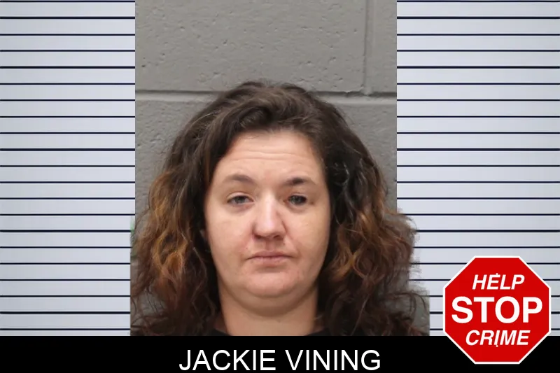 Jackie Vining mugshot