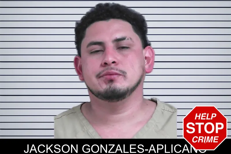 Jackson Gonzales-Aplicano mugshot