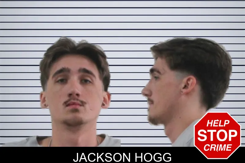 Jackson Hogg mugshot