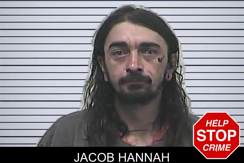 Jacob Hannah mugshot – Dawson County , Georgia Jacob Hannah mugshot
