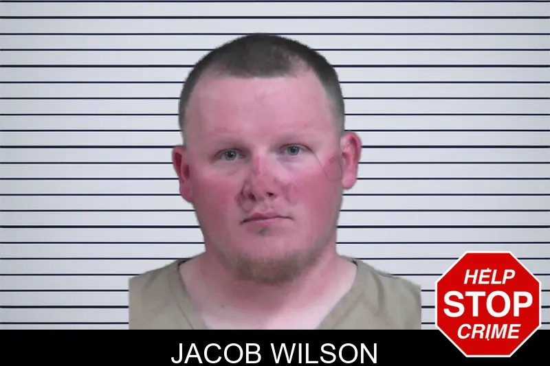 Jacob Wilson mugshot