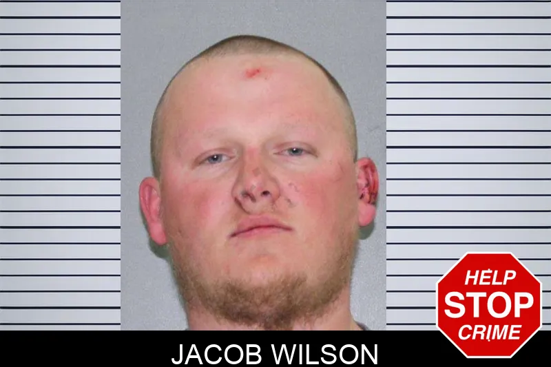 Jacob Wilson mugshot
