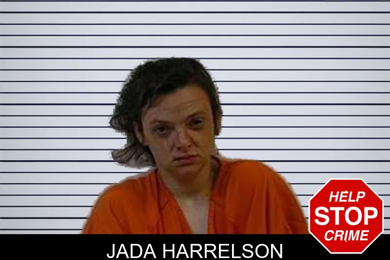 Jada Harrelson mugshot – Polk County , Georgia Jada Harrelson mugshot