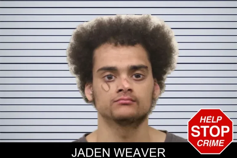 Jaden Weaver mugshot – Bulloch County , Georgia Jaden Weaver