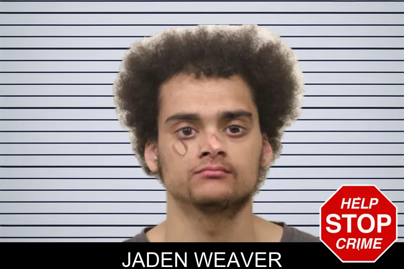 Jaden Weaver mugshot – Bulloch County , Georgia Jaden Weaver mugshot