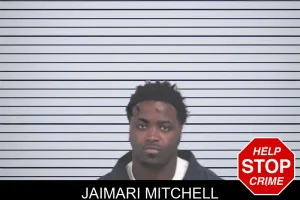 Jaimari Mitchell mugshot