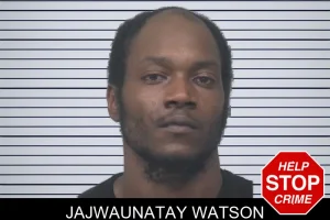 Jajwaunatay Watson mugshot