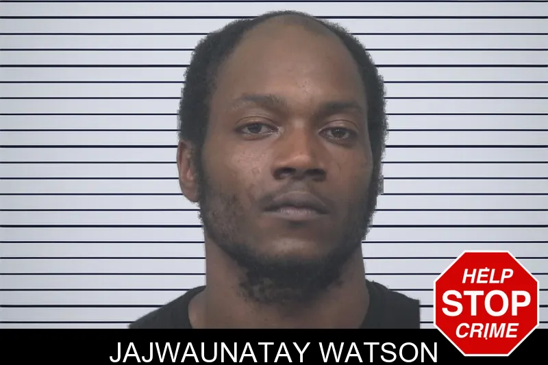 Jajwaunatay Watson mugshot