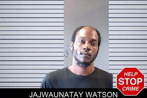 Jajwaunatay Watson mugshot