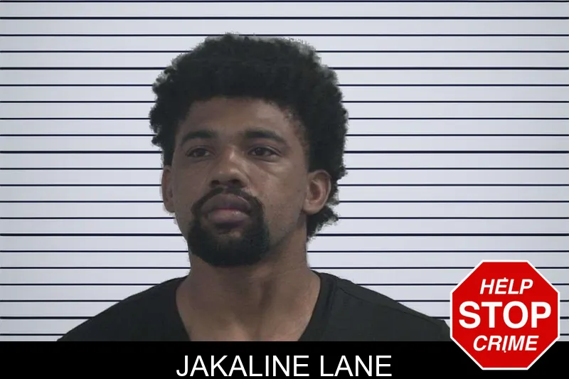 Jakaline Lane mugshot – McDuffie County , Georgia Jakaline Lane mugshot