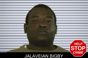 Jalaveian Bigby mugshot