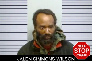 Jalen Simmons-Wilson mugshot