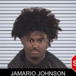 Jamario Johnson mugshot
