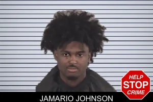 Jamario Johnson mugshot