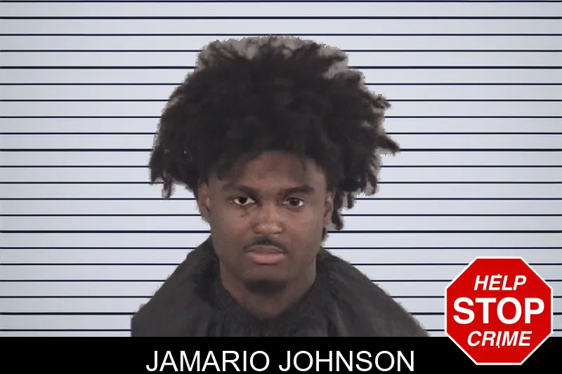 Jamario Johnson mugshot