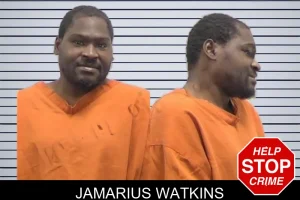Jamarius Watkins mugshot