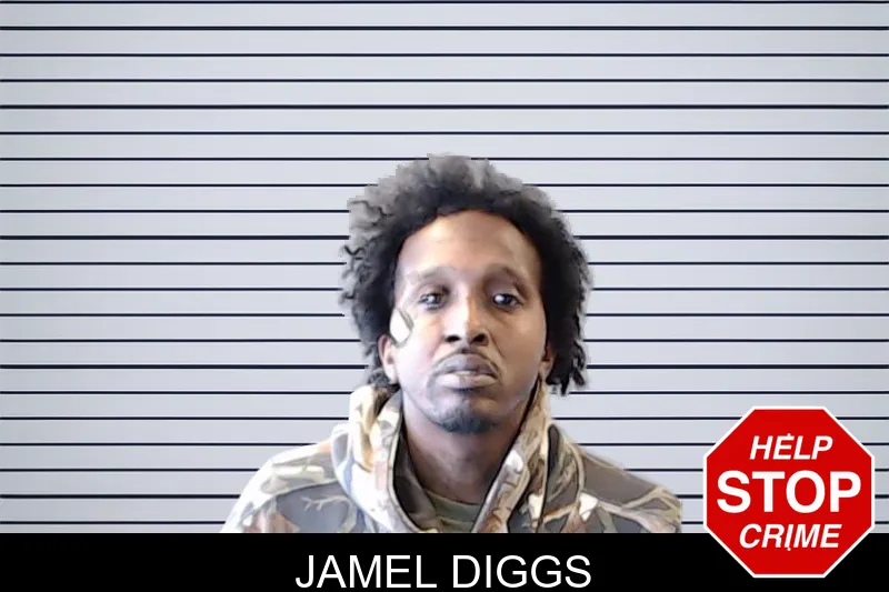 Jamel Diggs mugshot