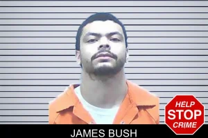 James Bush mugshot