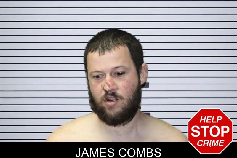 James Combs mugshot