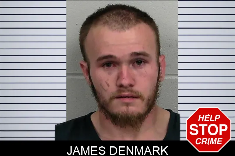James Denmark mugshot