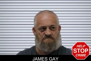 James Gay mugshot