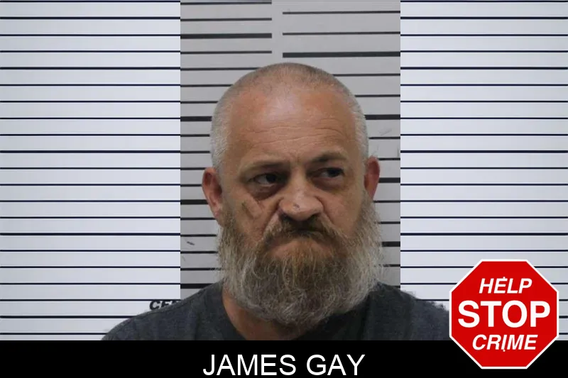 James Gay mugshot