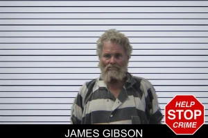 James Gibson mugshot