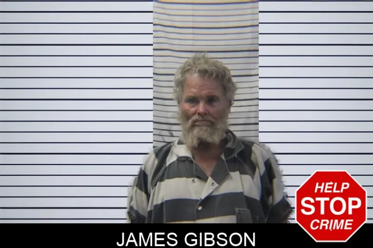 James Gibson
