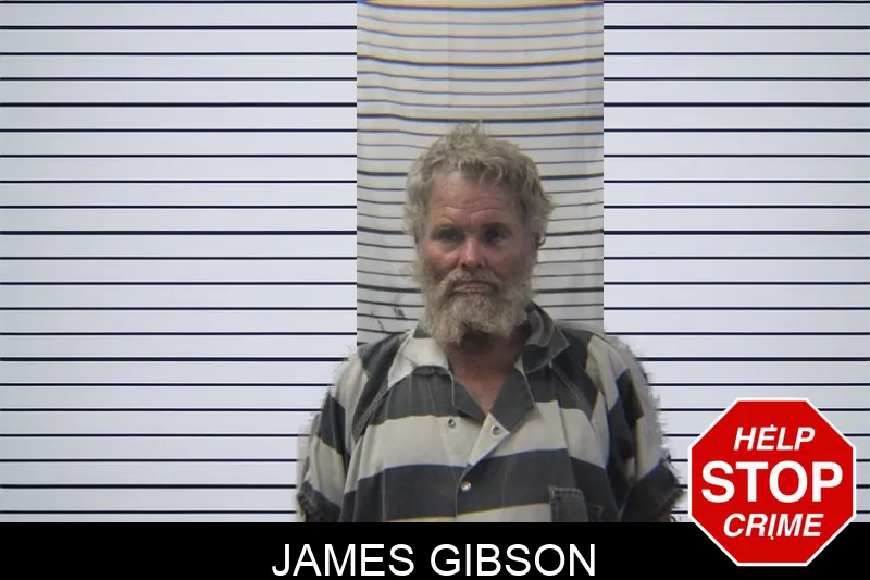 James Gibson mugshot – Stephens County , Georgia James Gibson mugshot